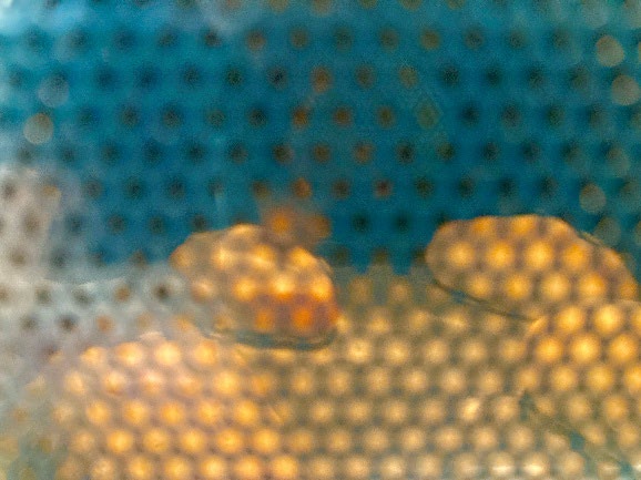image10
