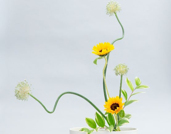 image27